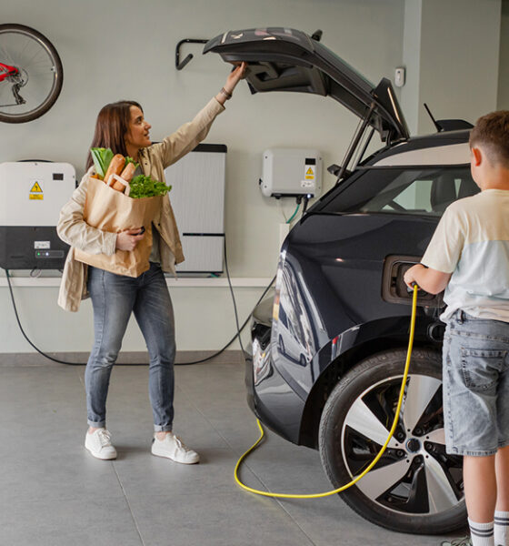 Família, solteiro, empresa ou frota, descubra qual carro elétrico combina com o seu perfil. Guia prático e imparcial da Eltro.