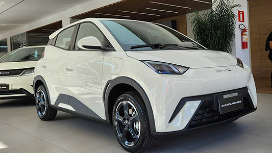 BYD Dolphin Mini — 4 L / 5 L